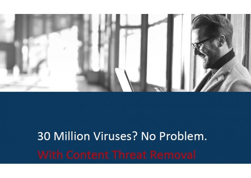 30 Million Viruses? No problem!