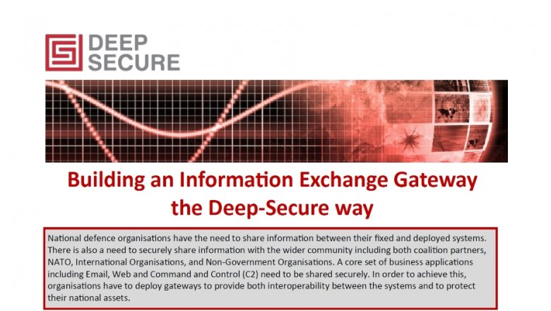 Information Exchange Gateway (IEG) Flyer